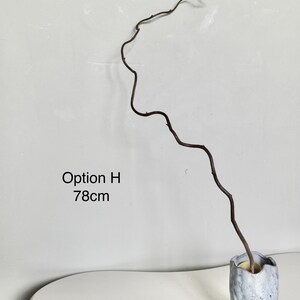 Dried twisted willow branches 80 cm – minimalist Japanese decoration, natural branches for vase, wabi-sabi shop decor, zen wood Option H