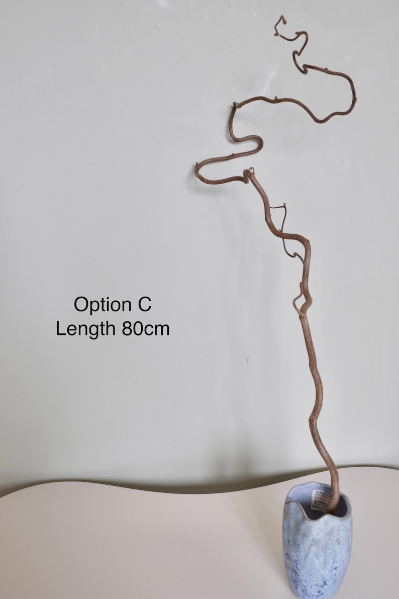 Dried twisted willow branches 80 cm – minimalist Japanese decoration, natural branches for vase, wabi-sabi shop decor, zen wood Option C