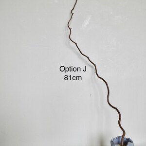 Dried twisted willow branches 80 cm – minimalist Japanese decoration, natural branches for vase, wabi-sabi shop decor, zen wood Option J