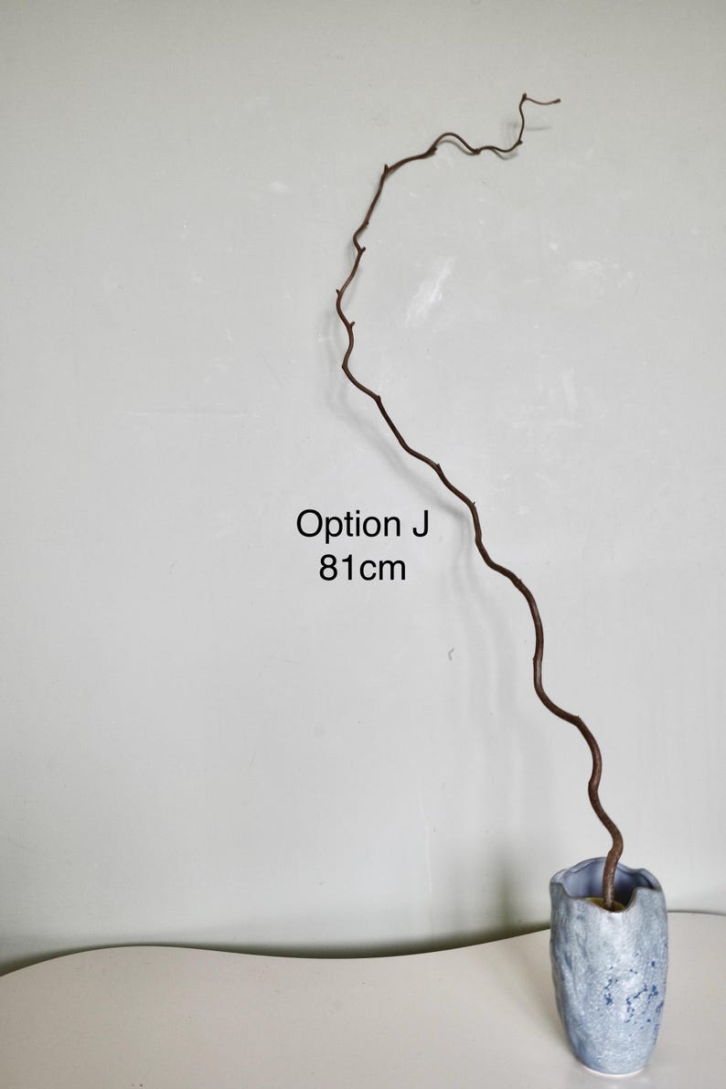 Dried twisted willow branches 80 cm – minimalist Japanese decoration, natural branches for vase, wabi-sabi shop decor, zen wood Option J