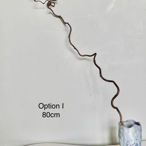 Dried twisted willow branches 80 cm – minimalist Japanese decoration, natural branches for vase, wabi-sabi shop decor, zen wood Option I