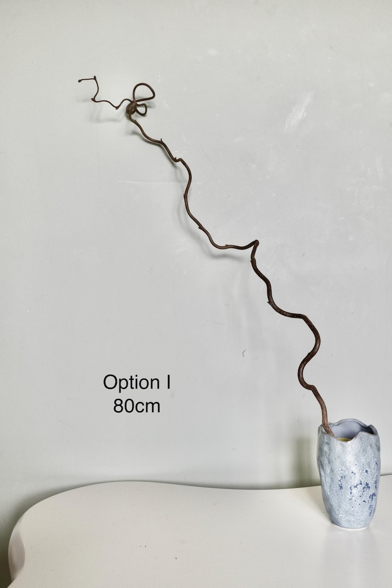 Dried twisted willow branches 80 cm – minimalist Japanese decoration, natural branches for vase, wabi-sabi shop decor, zen wood Option I