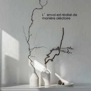 May include: Two matte white ceramic vases with narrow necks, each holding a single dark, twisted, leafless branch. A small white dish with two brown pinecones sits nearby. The text "L' envoi est r&eacute;alis&eacute; de mani&egrave;re al&eacute;atoire" is visible.