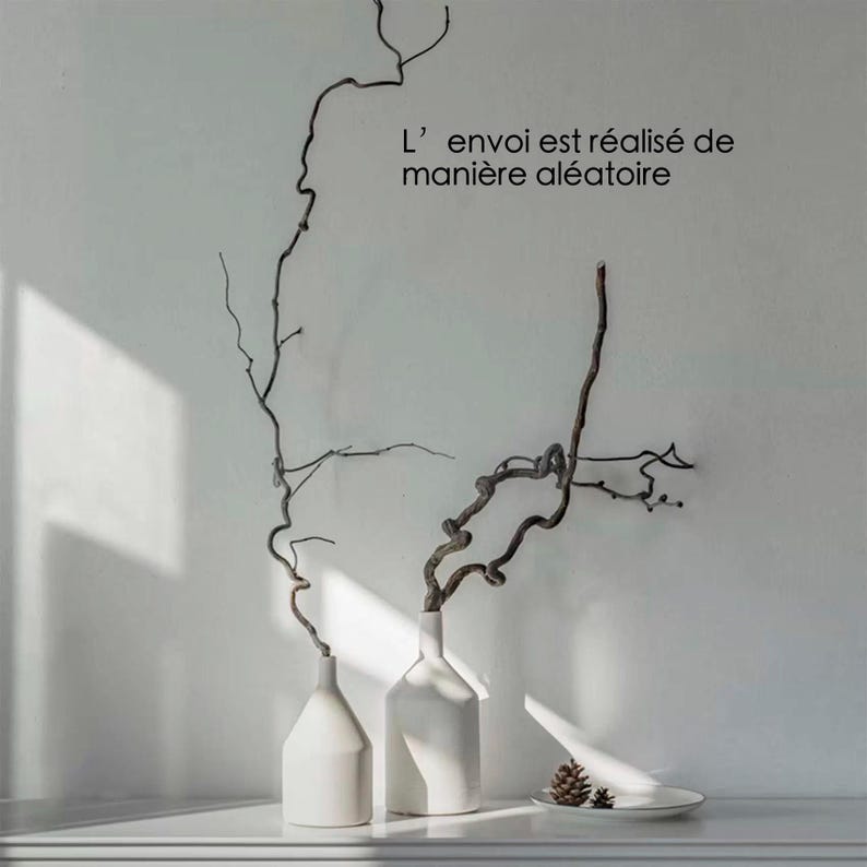 May include: Two matte white ceramic vases with narrow necks, each holding a single dark, twisted, leafless branch. A small white dish with two brown pinecones sits nearby. The text "L' envoi est r&eacute;alis&eacute; de mani&egrave;re al&eacute;atoire" is visible.