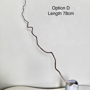 Dried twisted willow branches 80 cm – minimalist Japanese decoration, natural branches for vase, wabi-sabi shop decor, zen wood Option D