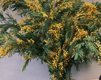 Dried Mimosa Bouquet | Pack of 5-10 stems with foliage, natural and luminous decoration | soft and fresh floral decoration