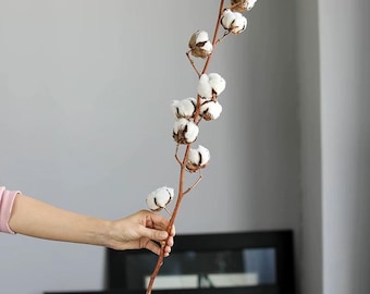 Stelo di cotone naturale, 60–70 cm, 7–8 teste | Decorazione boho | Fiori secchi per vaso | Stelo di cotone naturale essiccato, 8 teste | Decorazione rustica, zen