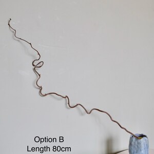 Dried twisted willow branches 80 cm – minimalist Japanese decoration, natural branches for vase, wabi-sabi shop decor, zen wood Option B