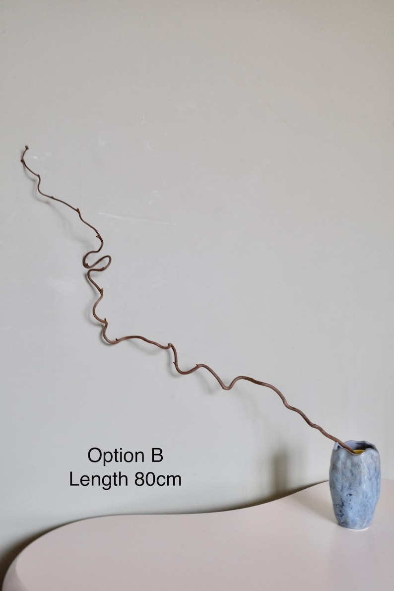 Dried twisted willow branches 80 cm – minimalist Japanese decoration, natural branches for vase, wabi-sabi shop decor, zen wood Option B