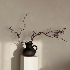 May include: A dark brown ceramic pitcher with a rounded body and a single side handle. A long, thin, twisted, and leafless brown branch extends horizontally and vertically from the opening of the pitcher, creating a complex, organic silhouette.