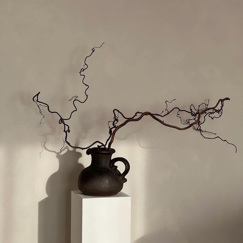 May include: A dark brown ceramic pitcher with a rounded body and a single side handle. A long, thin, twisted, and leafless brown branch extends horizontally and vertically from the opening of the pitcher, creating a complex, organic silhouette.
