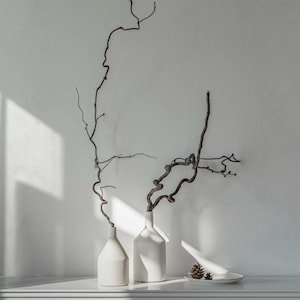 Gedroogde, gedraaide wilgentakken van 30-60 cm – minimalistische Japanse decoratie, natuurlijke takken voor vaas, winkeldecoratie