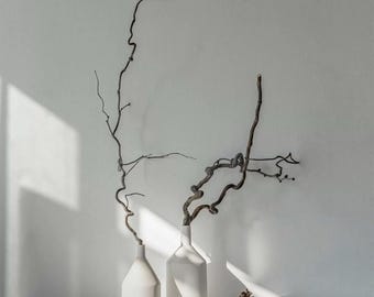 Branches de saule tortueux séchées 30–60 cm – décoration japandi minimaliste, branches naturelles pour vase, déco boutique