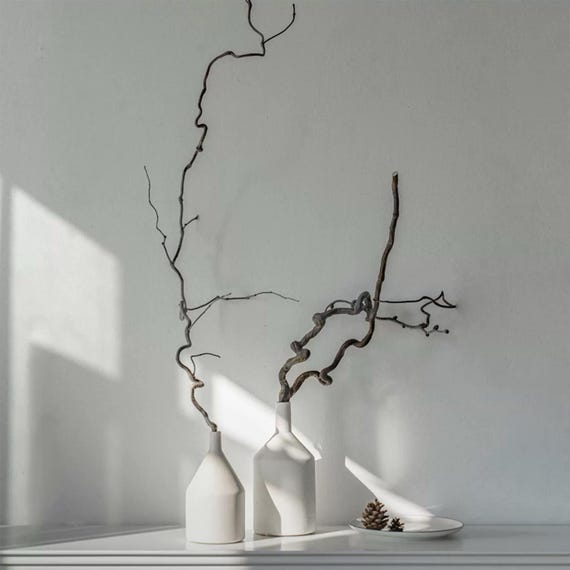 Branches de saule tortueux séchées 80 cm – décoration japandi minimaliste, branches naturelles pour vase, déco boutique wabi-sabi, bois zen