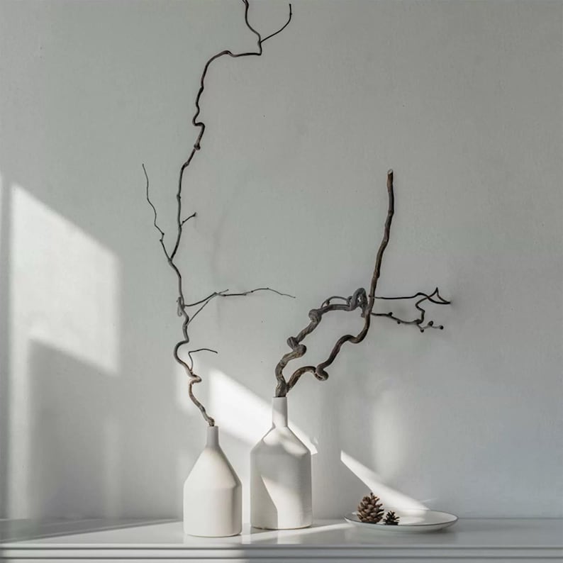 May include: Two matte white ceramic vases with tapered necks, each holding a single long, dark, twisted, leafless branch. A small white plate sits to the right, holding two brown pinecones, with light casting sharp shadows across the scene.