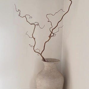 May include: A tall, off-white ceramic vase with a textured, matte finish and a flared rim. A single, long, brown, twisted willow branch with multiple thin, curling stems extends upward from the opening of the vase, creating a natural, organic shape.
