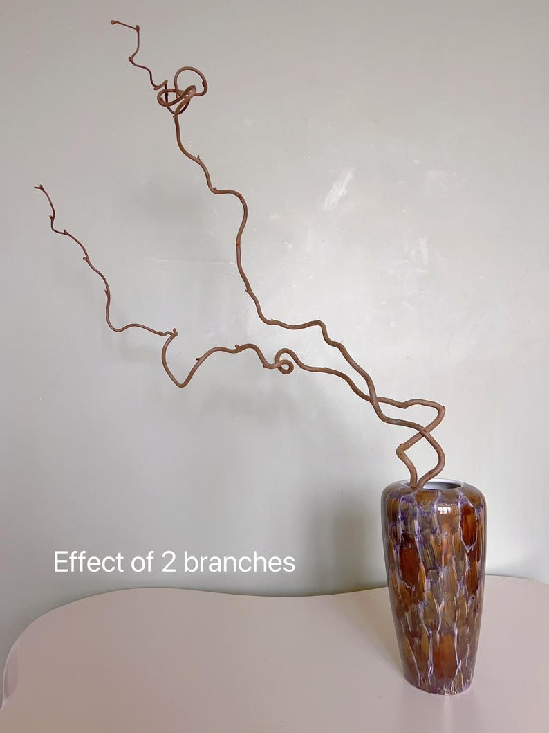 Dried twisted willow branches 80 cm – minimalist Japanese decoration, natural branches for vase, wabi-sabi shop decor, zen wood image 19