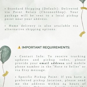 May include: An informational document titled SHIPPING OPTIONS & INSTRUCTIONS and IMPORTANT REQUIREMENTS. The text outlines delivery via Point Relais, home delivery, and requests for contact information and pickup point preferences, decorated with green balloons.