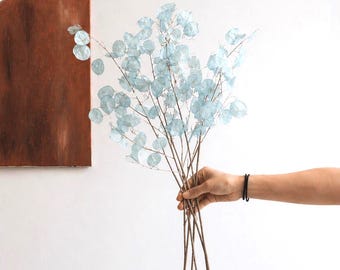 Dried Blue Lunaria Branches – Silver Plant, Dried Flowers for Resin, Natural Home or Shop Decoration, DIY Crafts