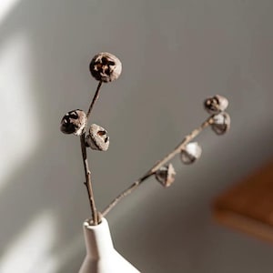 Peut inclure: Un vase en céramique blanc contient des branches d'eucalyptus séchées avec des capsules de graines brunes. Les branches sont fines et délicates, les capsules ajoutant une touche de texture et de beauté naturelle. Les tons neutres créent une esthétique minimaliste et apaisante.