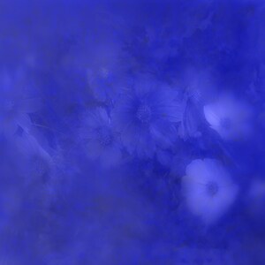shutterbrush blue single 1