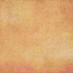 Shutterbrush orange single 2