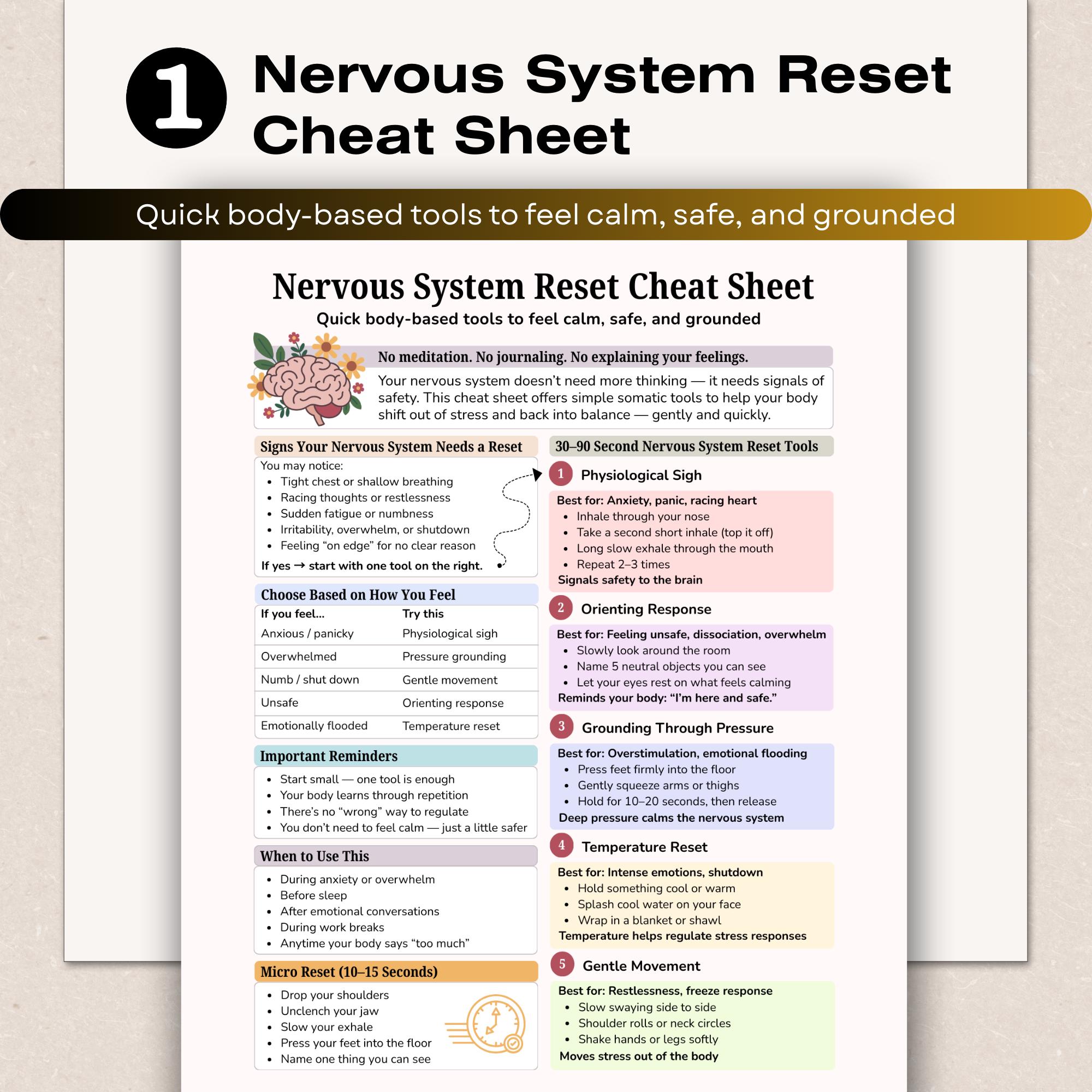 Somatic Therapy Cheat Sheets Bundle, Nervous System Regulation, Anxiety ...