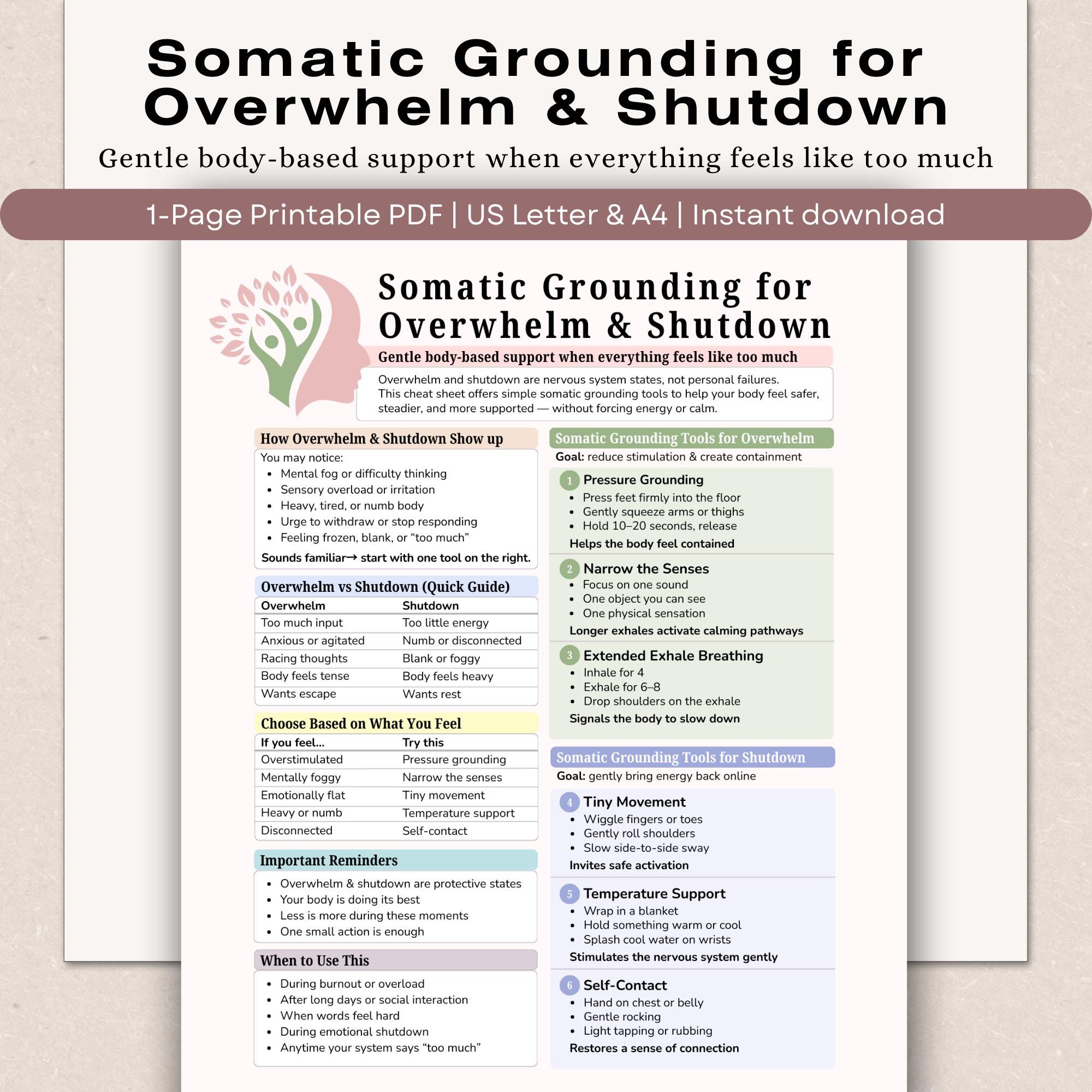 Somatic Grounding Cheat Sheet, Nervous System Reset Printable (PDF) - Etsy