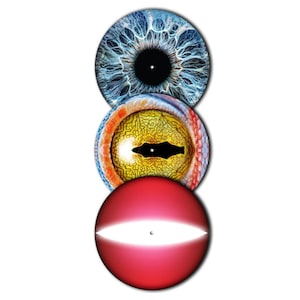 Puede incluir: Juego de tres tazas de cerámica con acabado moteado y mate. Las tazas son de color crema, gris claro y gris oscuro. Cada taza tiene un diseño minimalista y un asa redondeada.