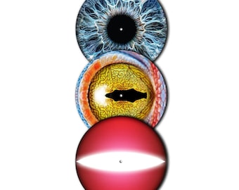 Hypnotic Eye Slipmat Set (3 Pack) – Thundera, Blue & Reptile Eye DJ Turntable Mats | Original Art, No AI