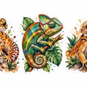 Könnte beinhalten: Drei Aufkleber im Aquarellstil mit einem gelb-schwarz gefleckten Leopardgecko auf einem Felsen, einem bunten Chamäleon auf einem Ast mit grünen Blättern und einer orangefarbenen Bartagame auf einem Ast, alle mit Farbspritzern verziert.