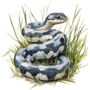 Könnte beinhalten: Aquarellillustration einer Schlange, die sich im Gras ringelt. Die Schlange hat ein Muster aus grauen und weißen Schuppen, mit einem dunkelgrauen Kopf und einem braunen Auge. Die Schlange ist in einem Kreis eingerollt, wobei der Kopf angehoben ist.