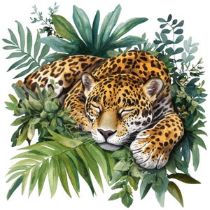 Puede incluir: Ilustración en acuarela de un jaguar durmiendo con los ojos cerrados, acurrucado entre un exuberante follaje tropical verde. El pelaje del jaguar es una mezcla de manchas marrones y beige. Las hojas son de varios tonos de verde.