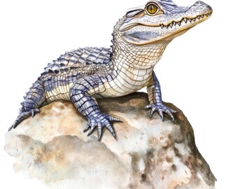 3 pegatinas de acuarela de reptiles para coche, diseño de animales exóticos, ideal como regalo para amantes de los reptiles, 9 x 9 cm