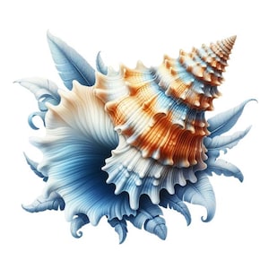 Op de afbeelding: Gedetailleerde illustratie van een zeeschelp met een spiraalvormige top en een brede, open basis. De schelp heeft een kleurengradiënt, waaronder wit, oranje en blauw. Gestileerde blauwe bladeren omringen de schelp en creëren een decoratieve compositie.