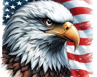 4x Eagle Sticker Set, 4 pieces, car stickers, USA biker helmet decoration, 9 x 9 cm