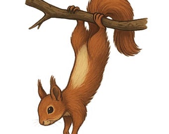 4x Cute Squirrel Stickers, Sweet Woodland Animal Stickers, Waterproof for Car, Laptop, Nature Animal Motif Decoration, 9 x 9 cm