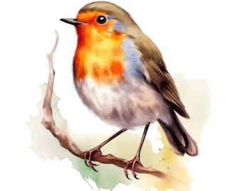 3x Forest Bird Sticker Set (3 pieces): Watercolor Car Stickers, Bird Nature Decoration, 9 x 9 cm