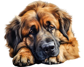 7 adesivi carini a forma di cane addormentato, adesivi per auto, adesivi in vinile carini, decorazione per laptop, regalo impermeabile per amanti dei cani, motivo animale, 9 x 9 cm