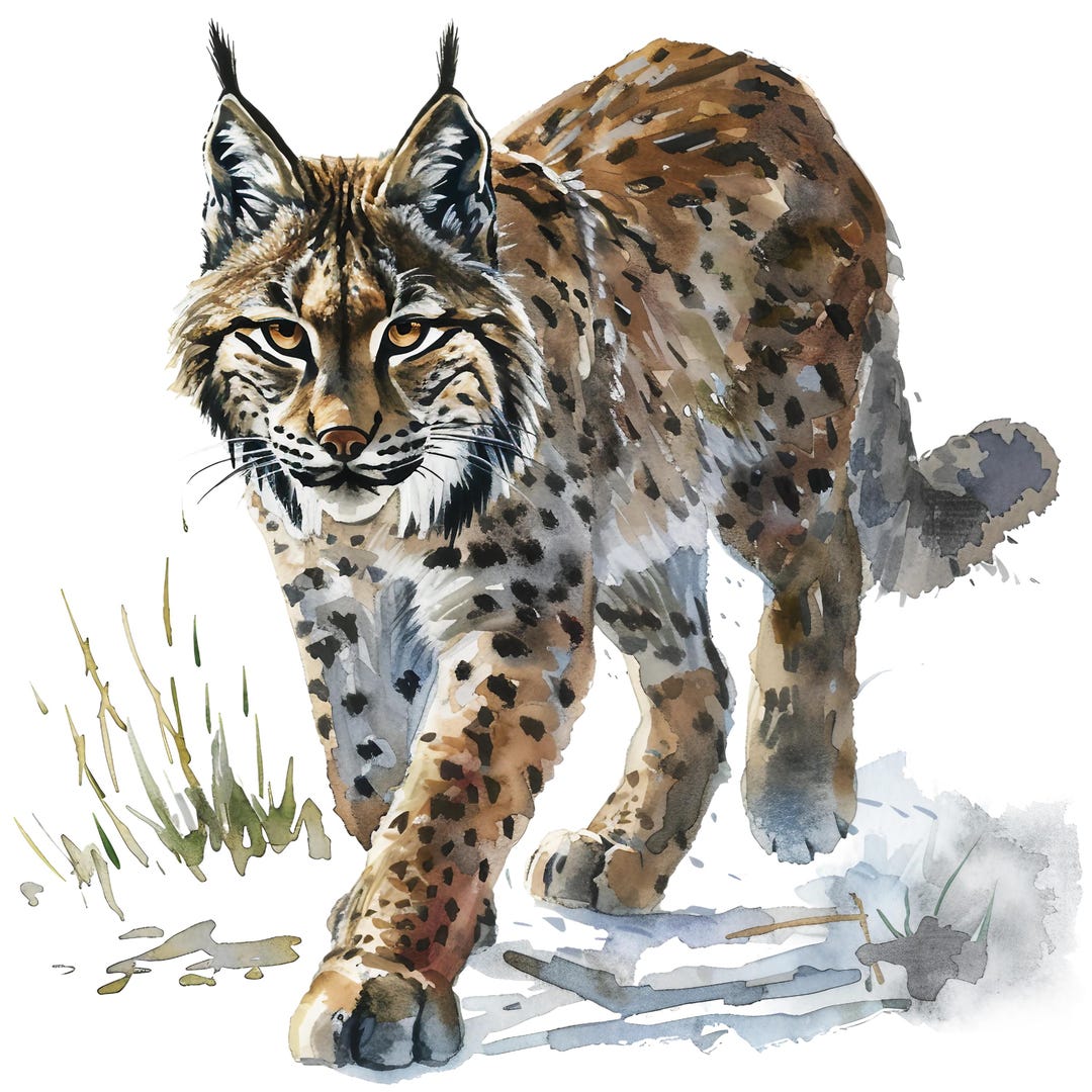 10x Lynx Sticker Set, 10 Pieces, Watercolor Car Stickers, Wildcat ...