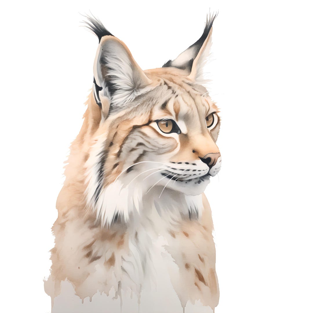10x Lynx Sticker Set, 10 Pieces, Watercolor Car Stickers, Wildcat ...