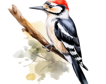 3x Forest Bird Sticker Set (3 pieces): Watercolor Car Stickers, Bird Nature Decoration, 9 x 9 cm