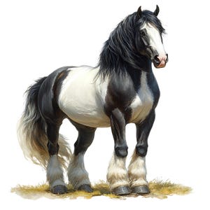 Könnte beinhalten: Illustration eines Pferdes mit schwarz-weißem Fell. Das Pferd hat eine lange, fließende schwarze Mähne und einen Schweif sowie weiße, befiederte Beine. Es steht auf einem Grasbüschel, vor weißem Hintergrund.