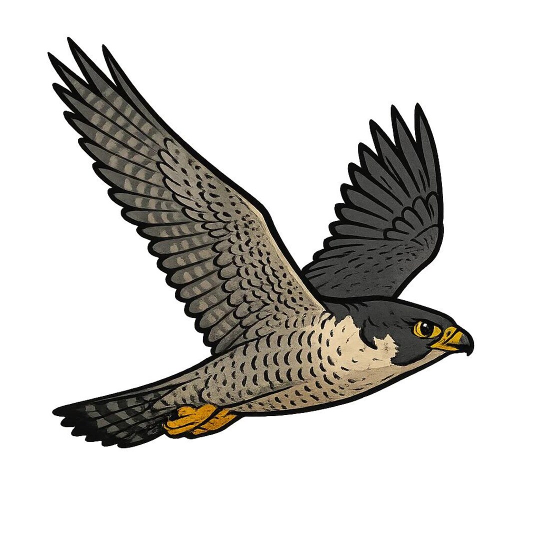 6x Falcon Stickers Majestic Bird Stickers Waterproof for Car Laptop ...