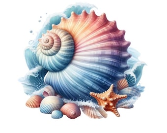 Seashell Sticker Set of 10: Nautical Car Stickers, Sea Beach Decoration, Waterproof Vinyl, Bathroom