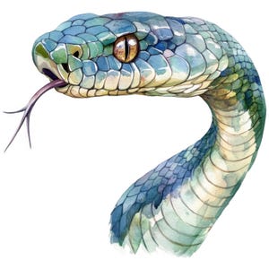 Könnte beinhalten: Aquarellillustration eines Schlangenkopfs und -halses. Die Schlange hat eine blau-grüne Farbpalette mit detaillierten Schuppen. Ihre Zunge ist ausgestreckt und ihr Auge ist goldbraun.