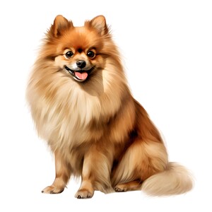 Op de afbeelding: Een digitale illustratie van een dwergkeeshond. De hond heeft een dikke, pluizige vacht in bruin- en crèmetinten. Hij zit met zijn tong zichtbaar, wat een vriendelijke uitdrukking geeft. De achtergrond is effen wit.