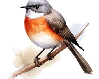 3x Forest Bird Sticker Set (3 pieces): Watercolor Car Stickers, Bird Nature Decoration, 9 x 9 cm