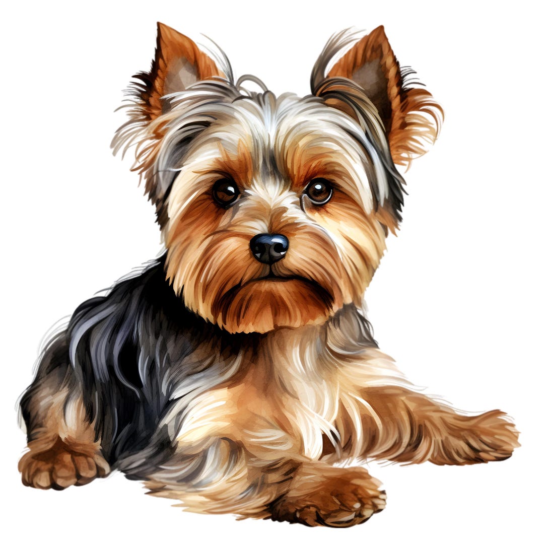 Yorki Sticker Transparent 3X Yorkie Love Sticker Set, 3 Pieces Yorkshire Terrier Car Stickers ...