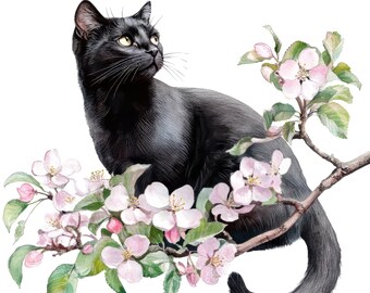 3x Black Cat Sticker Set (3 pieces): Watercolor Flower Car Stickers Decoration 9 x 9 cm